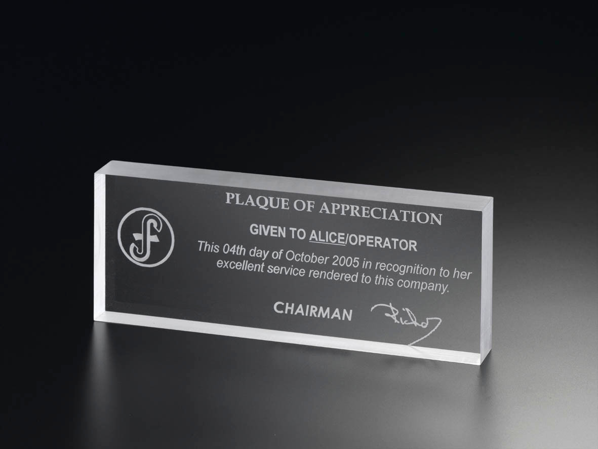  8"FROST EDGES RECTANGLE AWARD