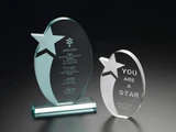 7" RISING STAR OVAL AWARD-