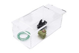  SLIDING LID CATCALL BOX