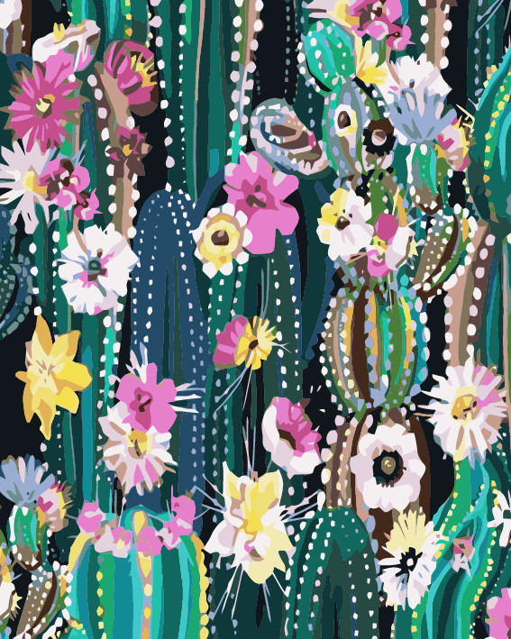 Paint by Numbers 40x50cm Cactus