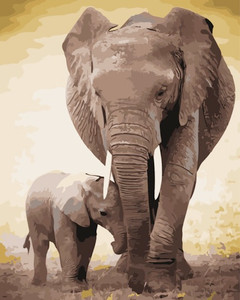 Father and Son elephant Father and Son elephant