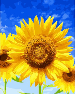 Blue Sky and Sunflowers Blue Sky and Sunflowers