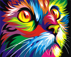 colourful cat colourful cat