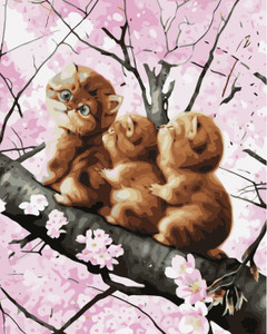 Sit Tight in Blossom Paint by Numbers Sit Tight in Blossom Paint by Numbers