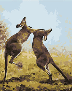 Fighting Joey Fighting Joey