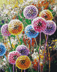 Colourful Dandelion Colourful Dandelion