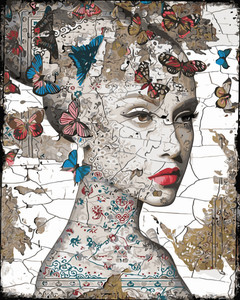 Butterfly on Poster Paint by Numbers Kit Butterfly on Poster Paint by Numbers Kit