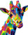 Colourful Giraffe
