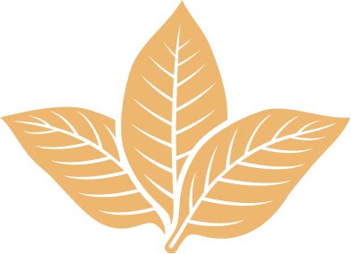 active cigar icon