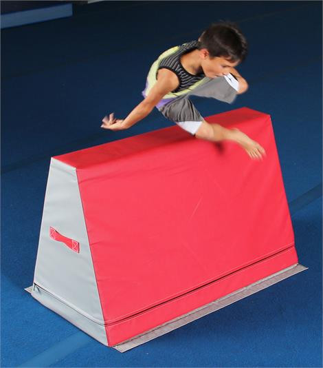 Ninja Obstacle Barrier