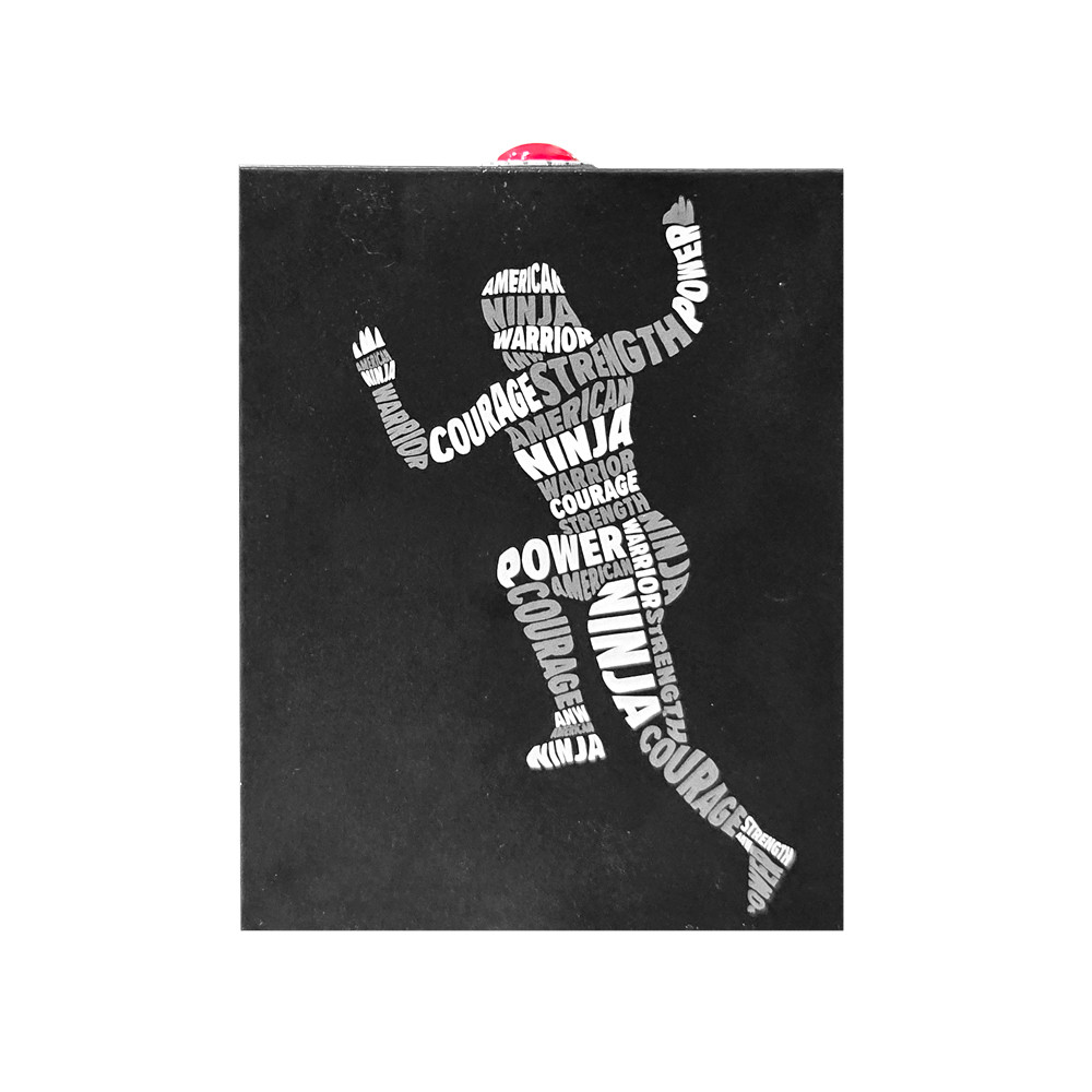 American Ninja Warrior Warped Wall Toy with Sound