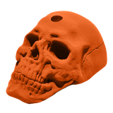 Skull Jug Hold