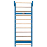 Blue Stall Bars