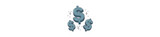 ​Fundraise for Your Gym with DGS!