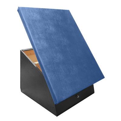 Spring Step with Blue Vinyl
