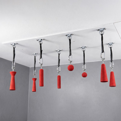 Ninja Ceiling Panel with 8 D-Rings