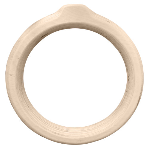 Magnetic 12" Ring