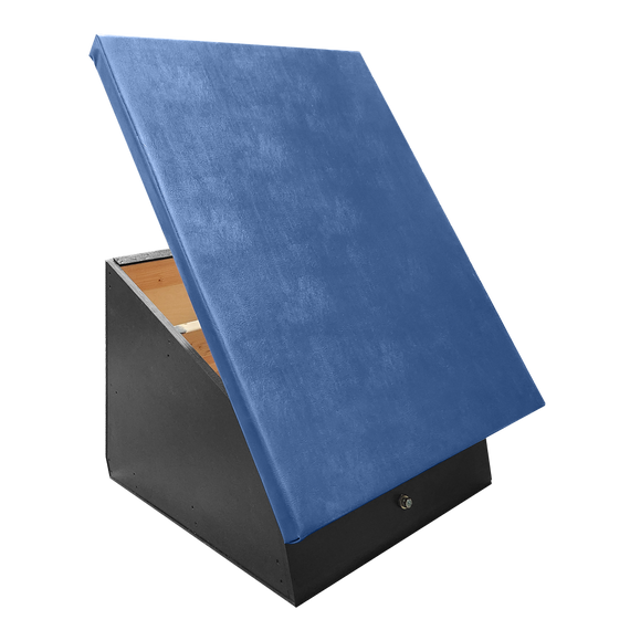 Spring Step with Blue Vinyl