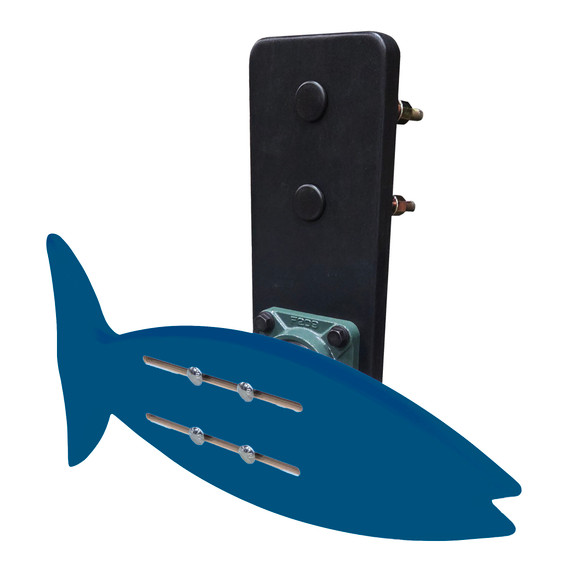 Blue Fish