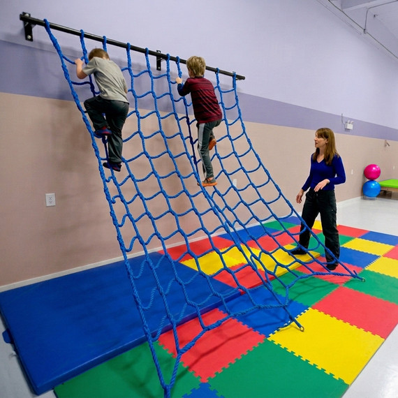 Ninja Cargo Net