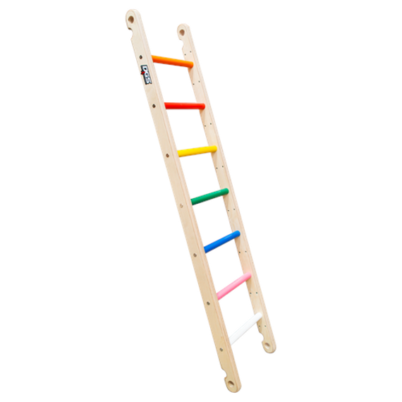 Multicolored Preschool Ladders