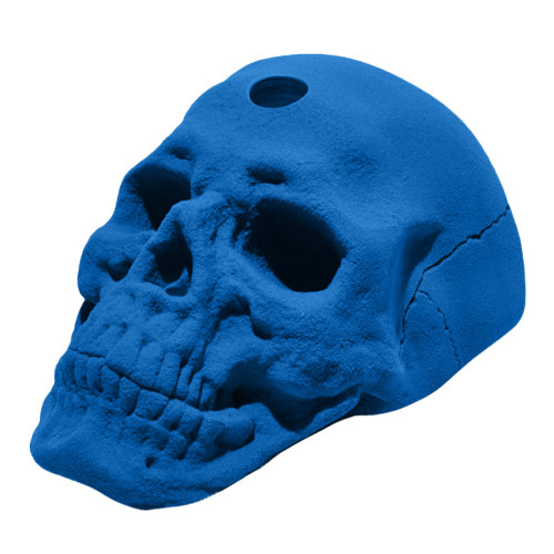 Blue Skull Jug Hold