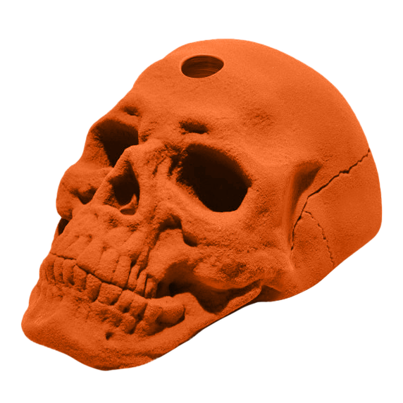 Skull Jug Hold