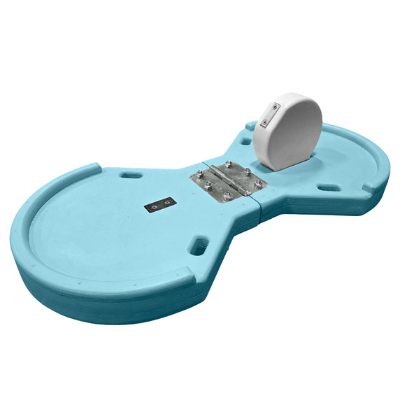 Light Blue Oyster Open