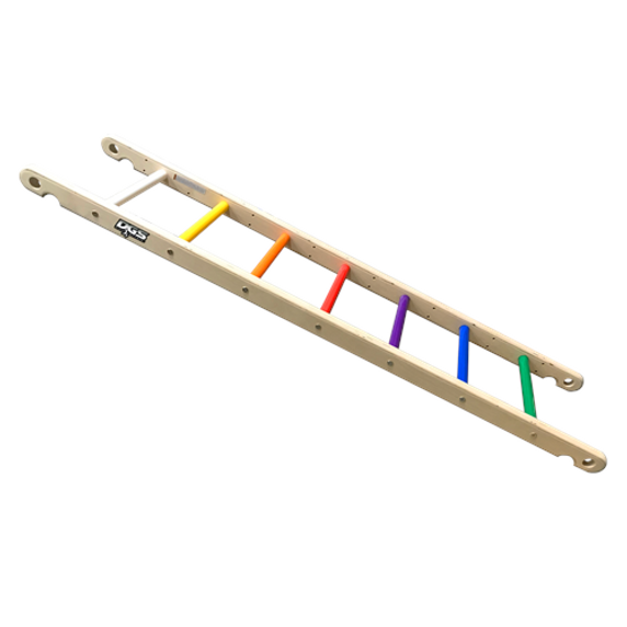 Multicolored Preschool Ladders