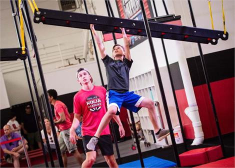 DGS Ninja Hanging Ladder