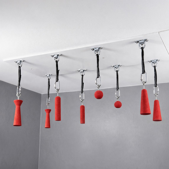 Ninja Ceiling Panel with 8 D-Rings
