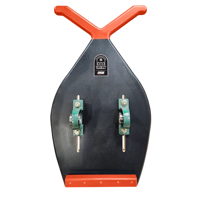Beetle with orange accents
