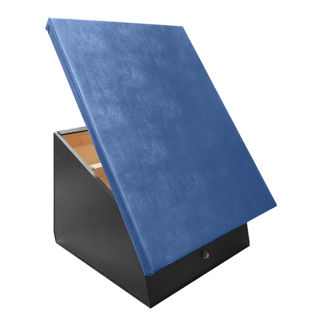 Spring Step with Blue Vinyl
