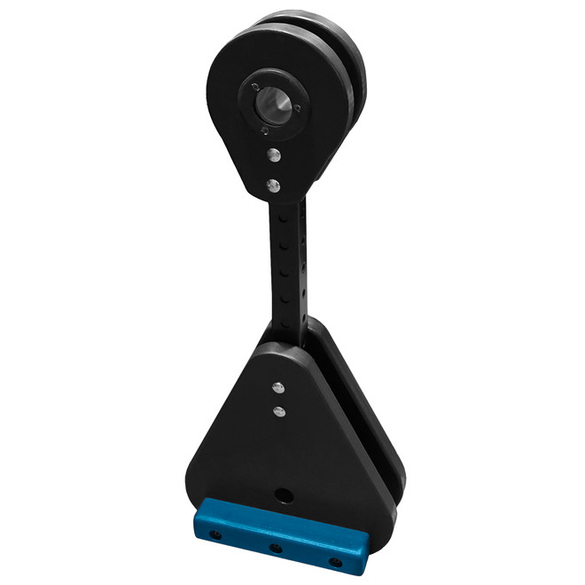 Blue Wing Ding v2