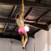 Athlete climbing rope