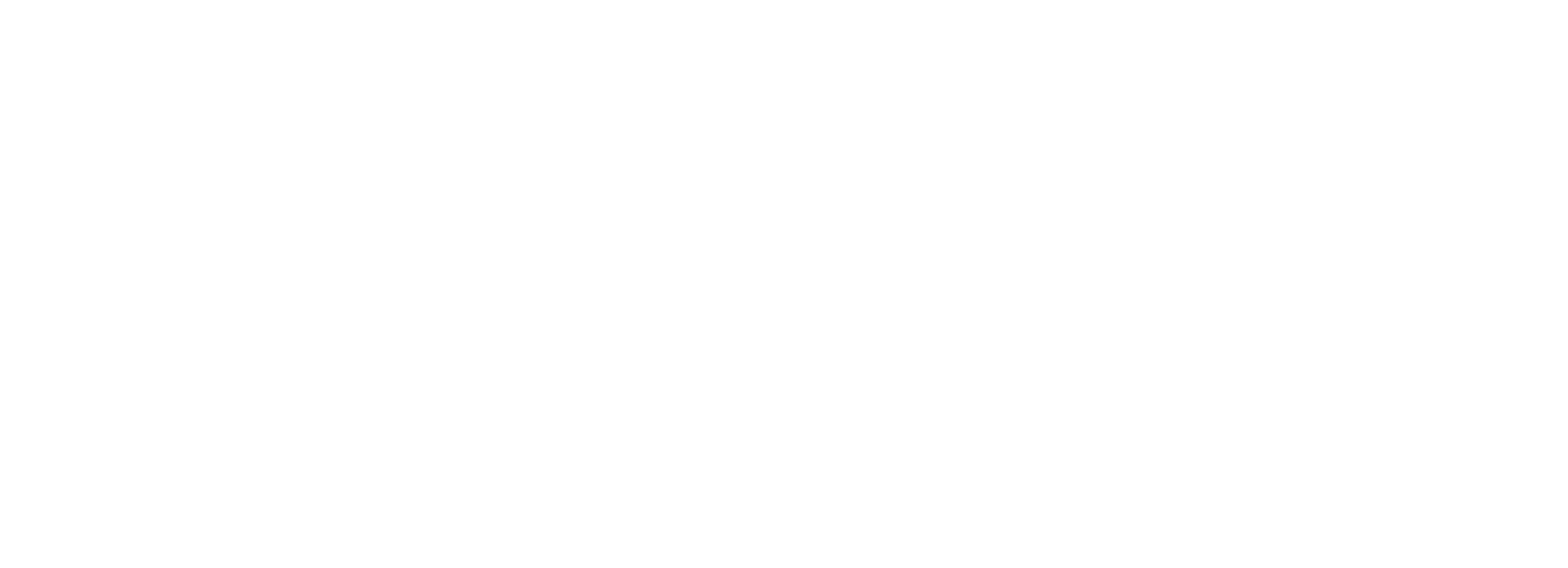 DGS Gym Supply Logo