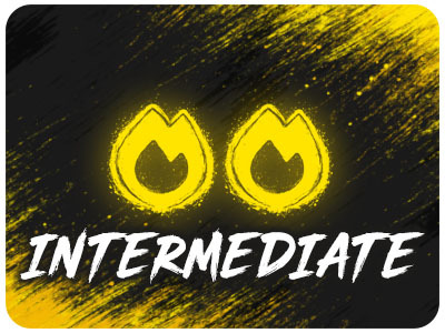 Intermediate Level