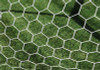 First Team Soccer Nets