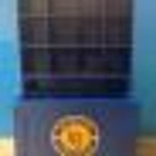 Sergeant Major Dugout Helmet and Bat Rack