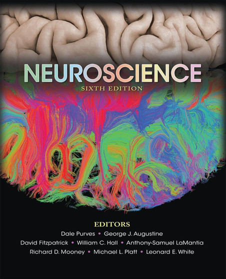 Purves / Neuroscience 6th Edition