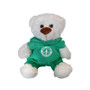 WesternU Scrub Bear