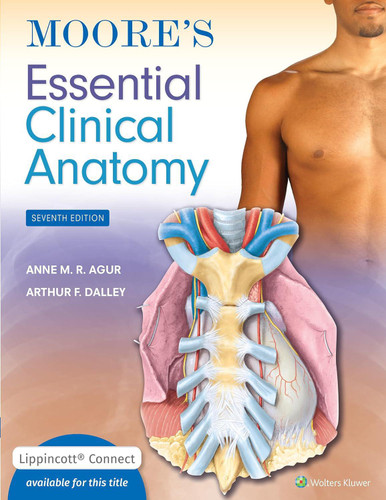 CLINICAL ANATOMY(CD未開封付き) 505da8dd-4f61-4e20-9d9a-