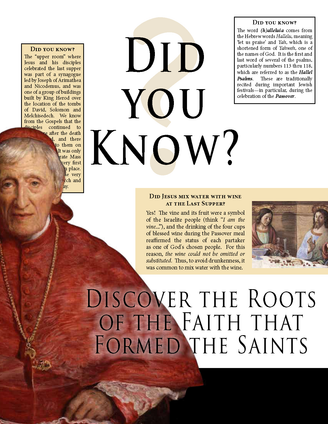 Did You Know? — front cover of the Treasure and Tradition evangelization edition