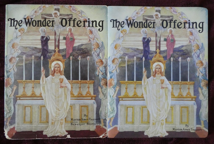 The Wonder Series...before and after!
