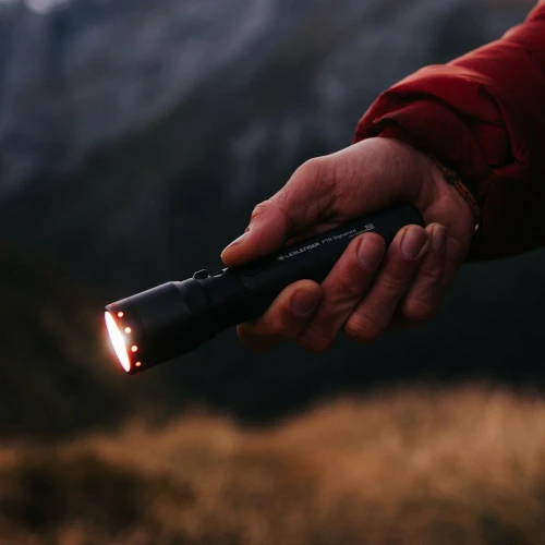 LEDLENSER | P7R Signature Torch