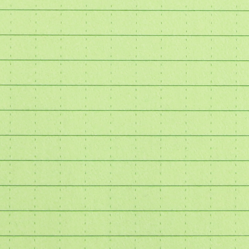 954G Memo Notebook Green