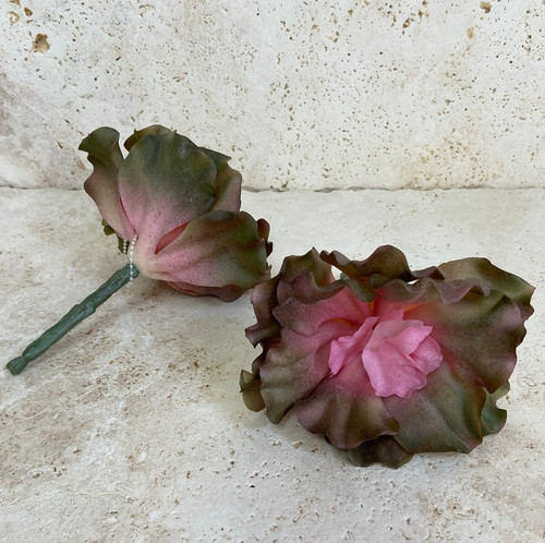 Winton Floral Succulent (Pink)-Single