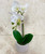 Orchid Stem | Artificial Floral