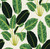 Hojas Cubanas Peel & Stick Removable Wallpaper by Genevieve Gorder