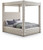 Curtis Velvet Bed (Cream, Black or Grey)